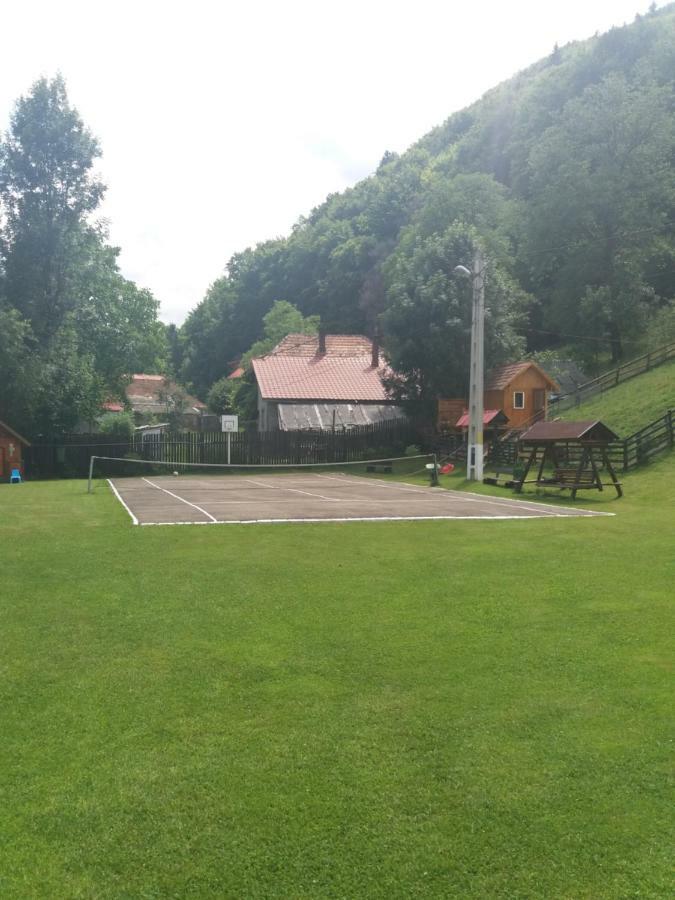 Pensiunea Vladut Бран Екстериор снимка