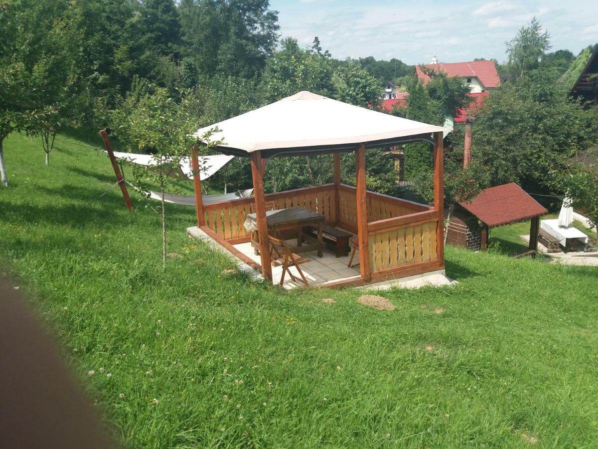Pensiunea Vladut Бран Екстериор снимка